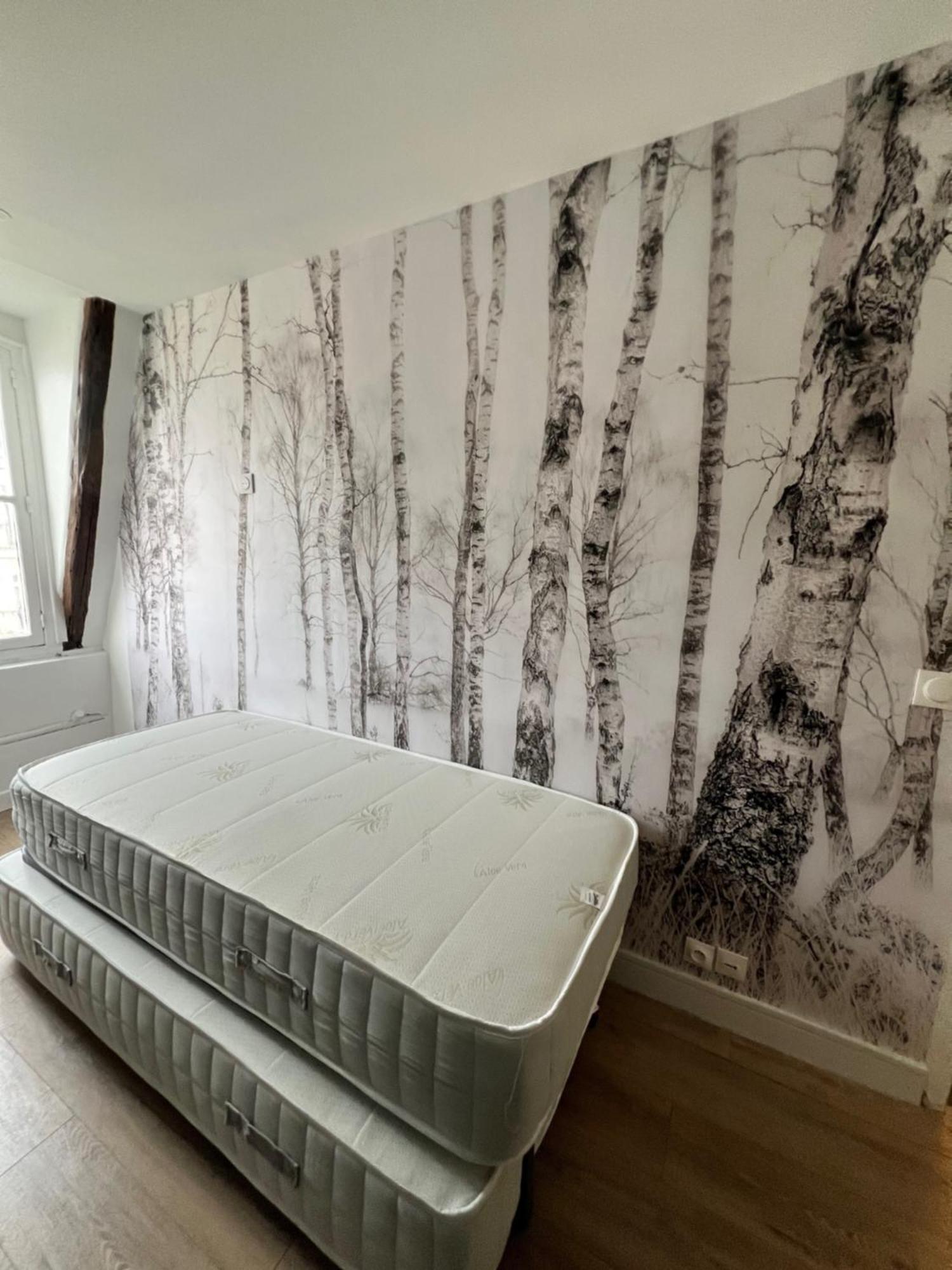 Batignolles, Montmartre Chambre 12M2 , Metro 13 Et 14 파리 외부 사진